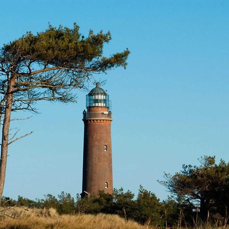 Ferienwohnung _Graureiher_ Zingst Exteriér fotografie