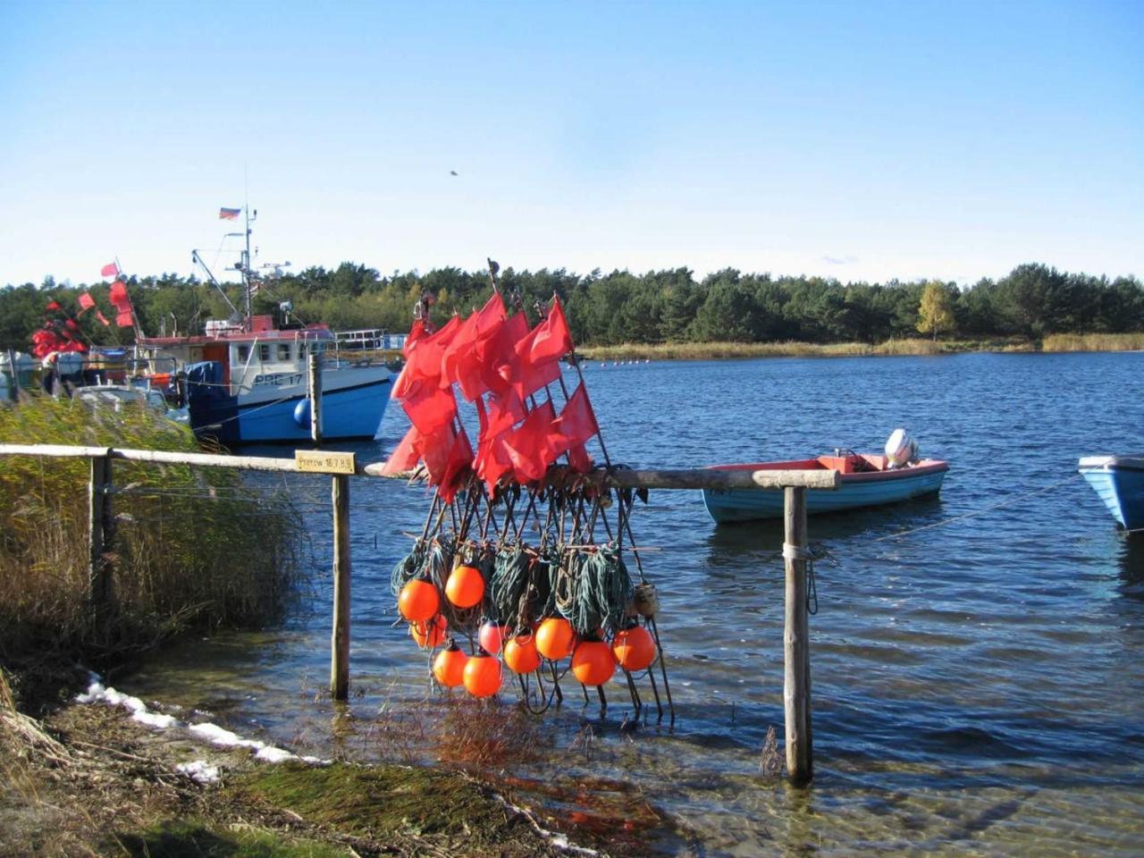 Ferienwohnung _Graureiher_ Zingst Exteriér fotografie