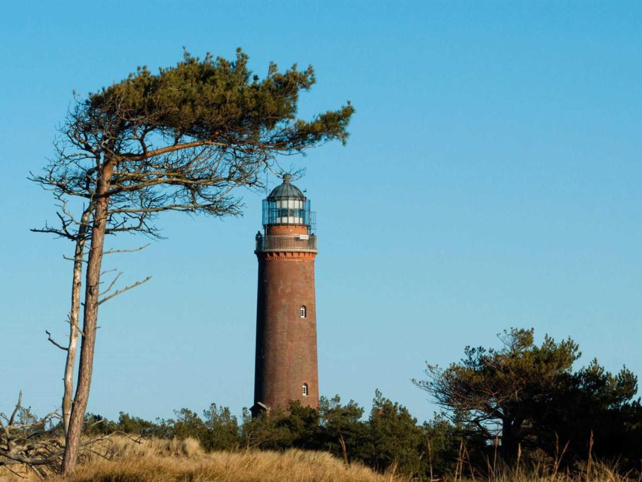 Ferienwohnung _Graureiher_ Zingst Exteriér fotografie