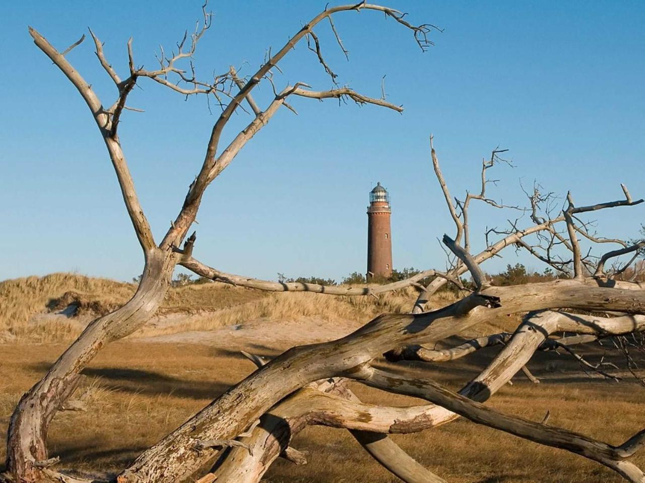 Ferienwohnung _Graureiher_ Zingst Exteriér fotografie