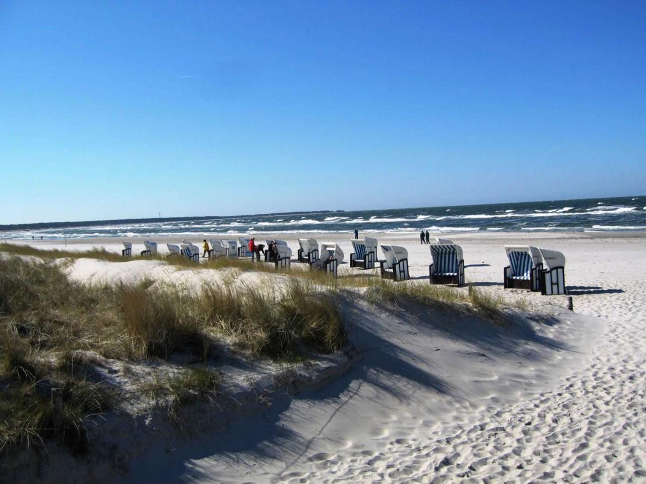 Ferienwohnung _Graureiher_ Zingst Exteriér fotografie