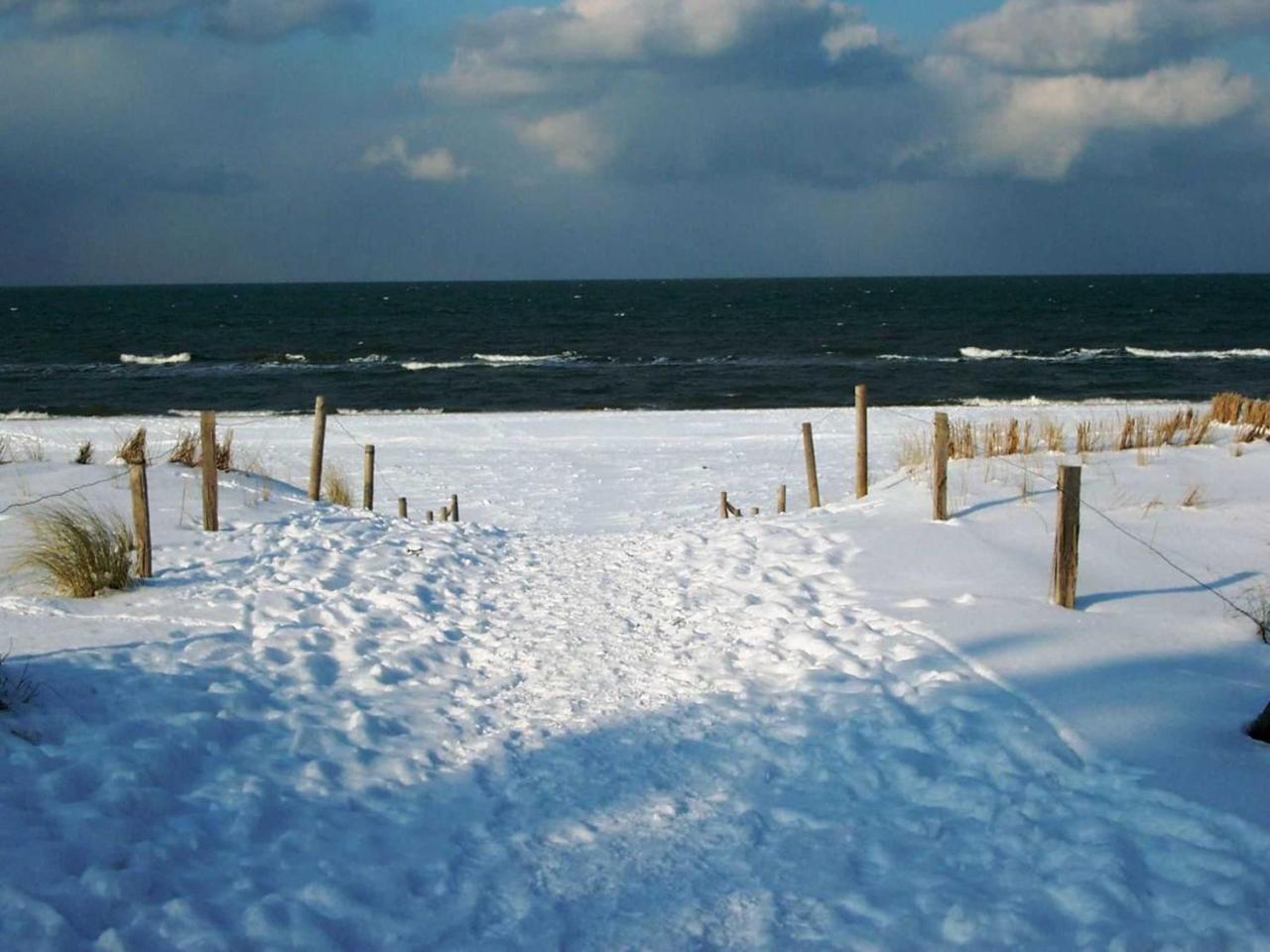 Ferienwohnung _Graureiher_ Zingst Exteriér fotografie