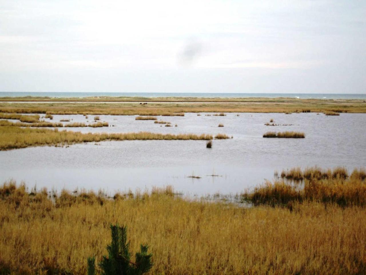 Ferienwohnung _Graureiher_ Zingst Exteriér fotografie