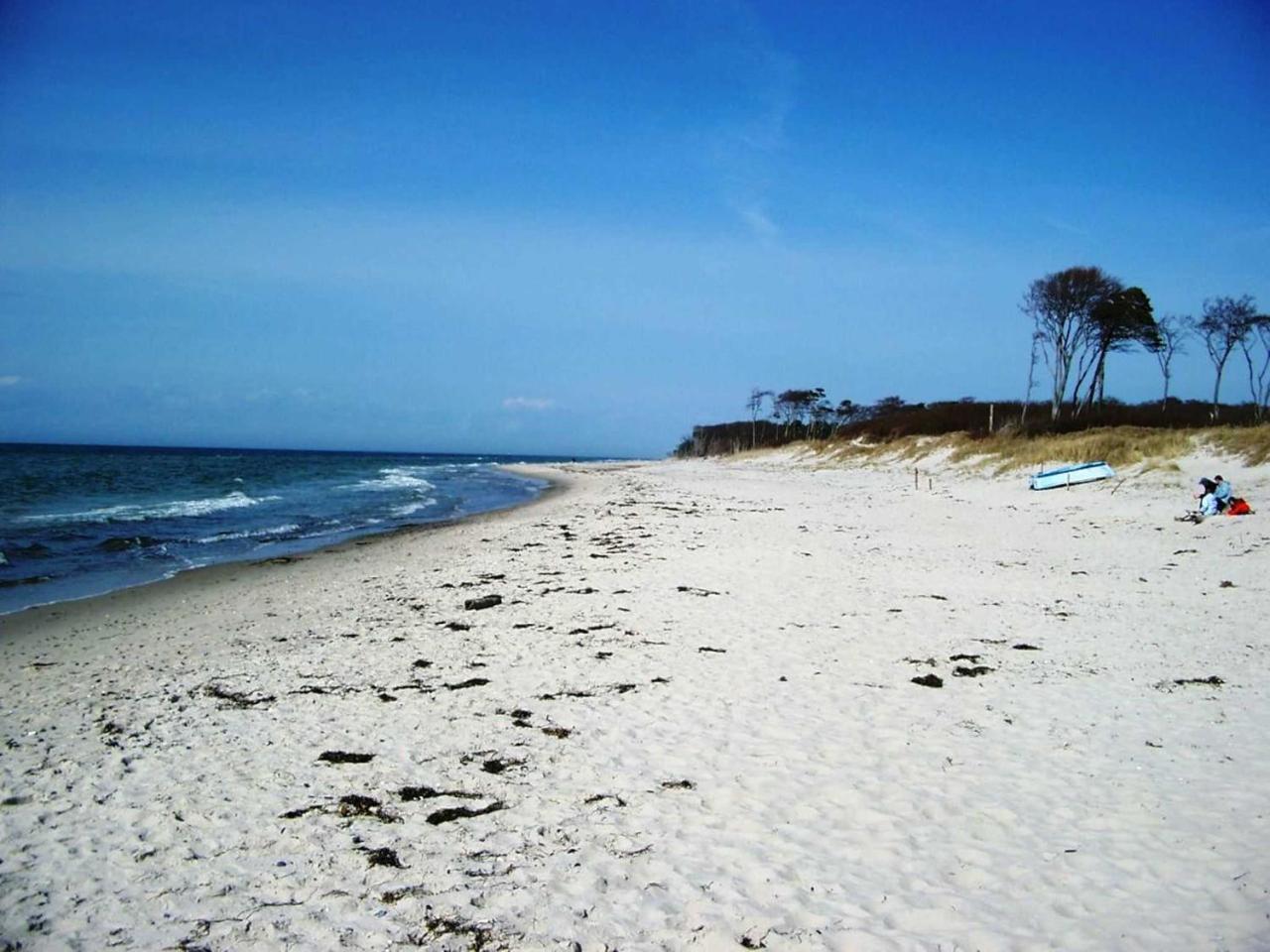 Ferienwohnung _Graureiher_ Zingst Exteriér fotografie